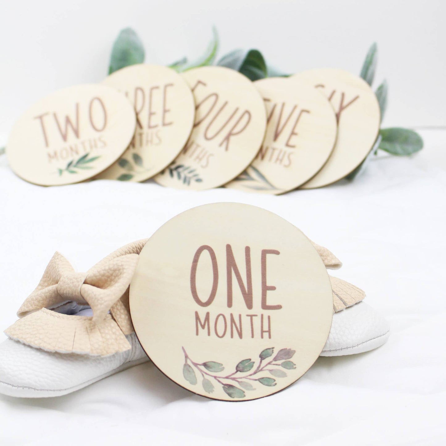 Carly Botanical Wooden Monthly Milestones